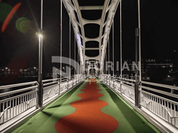 Steel Structure Landscape Bridge in China 3