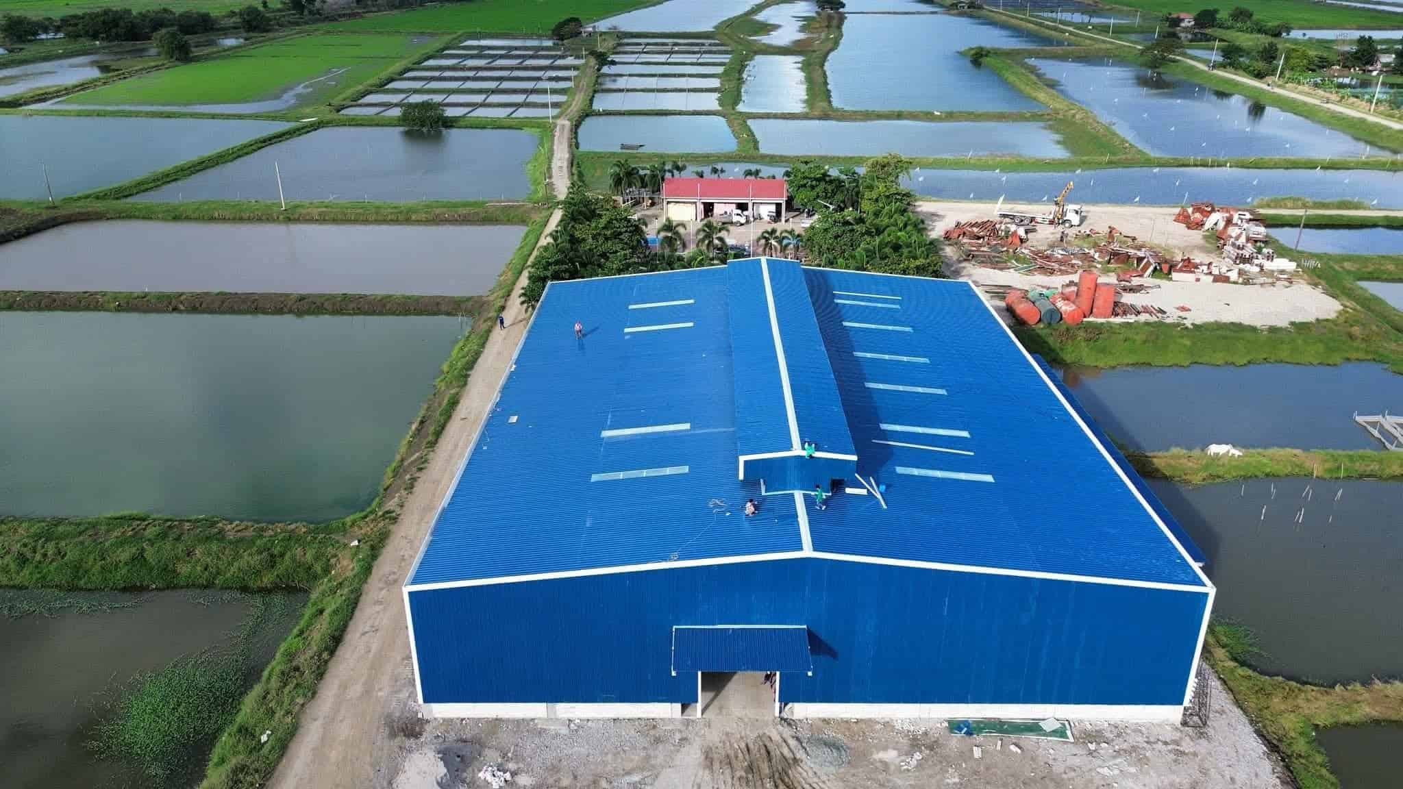 2000 Square Meters Steel Structure Feed Mill In The Philippines aft