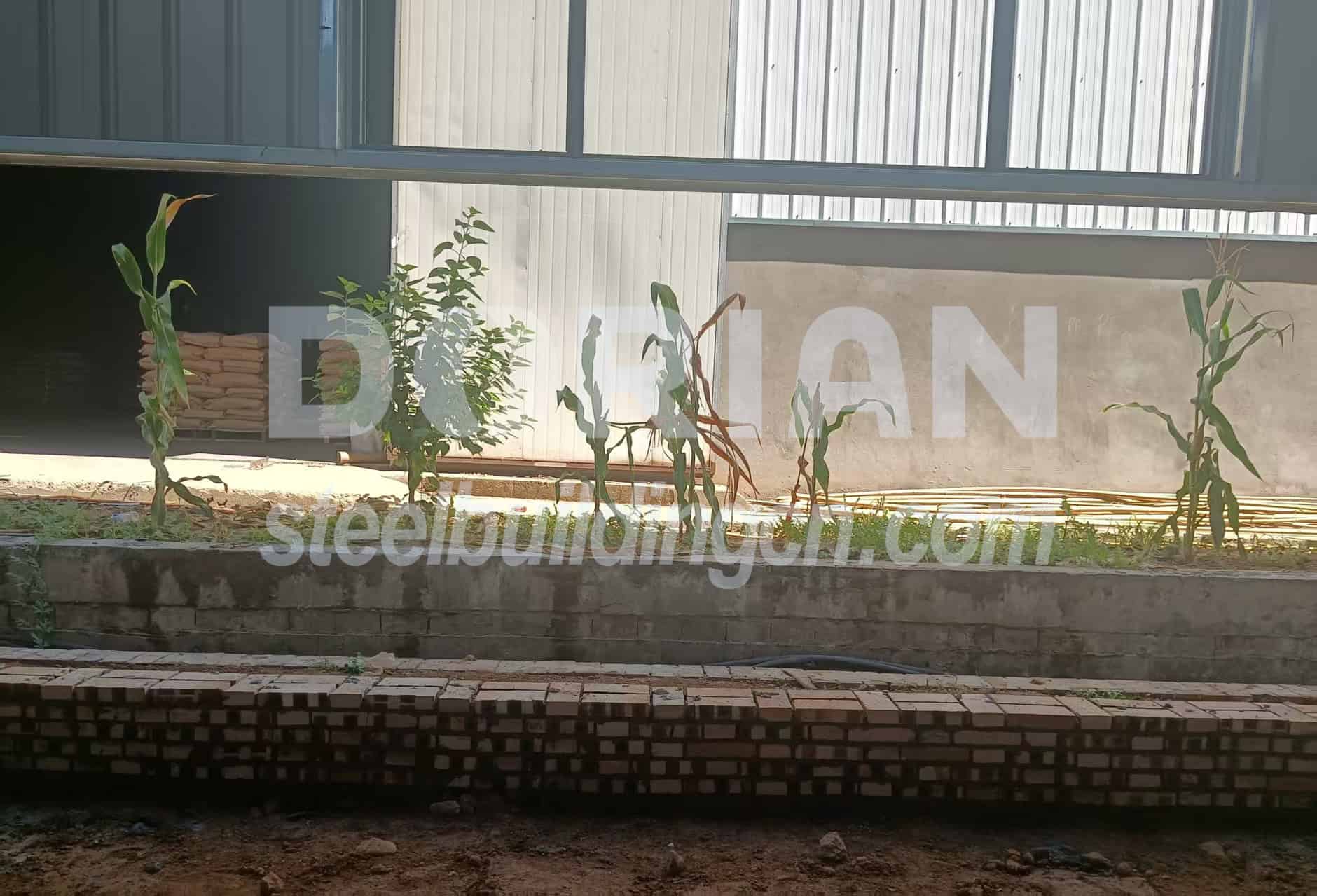 Steel Building with Green Plants