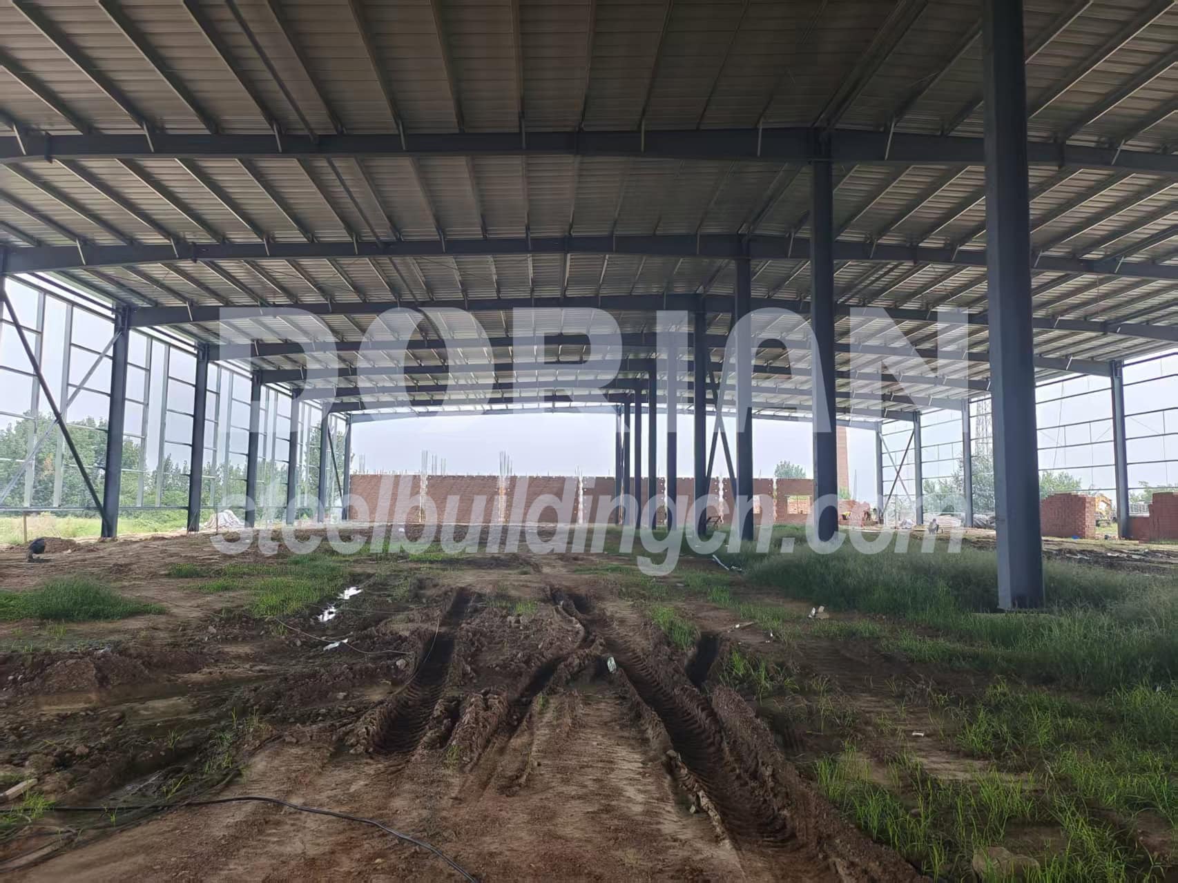 Steel Structure Chicken House in Cameroon