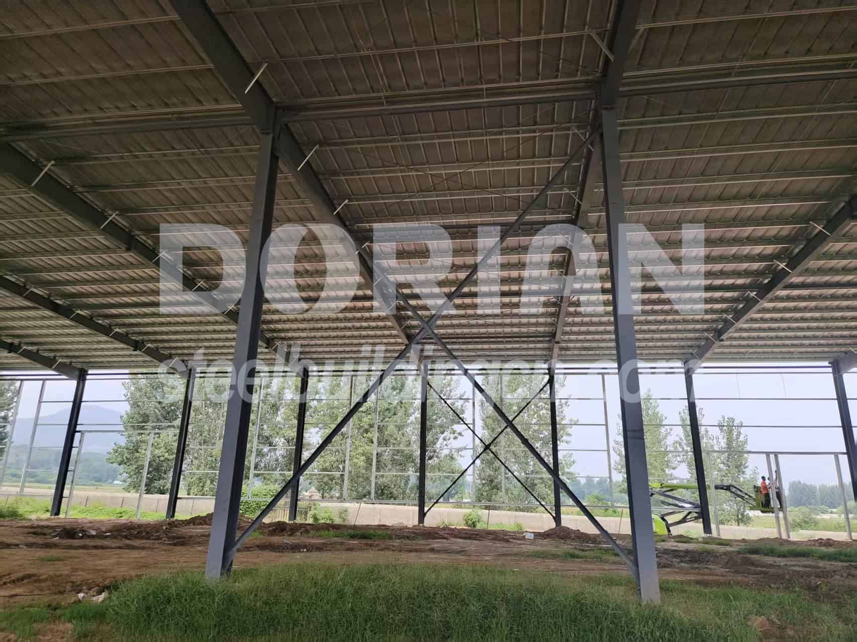 Steel Structure Chicken House in Cameroon