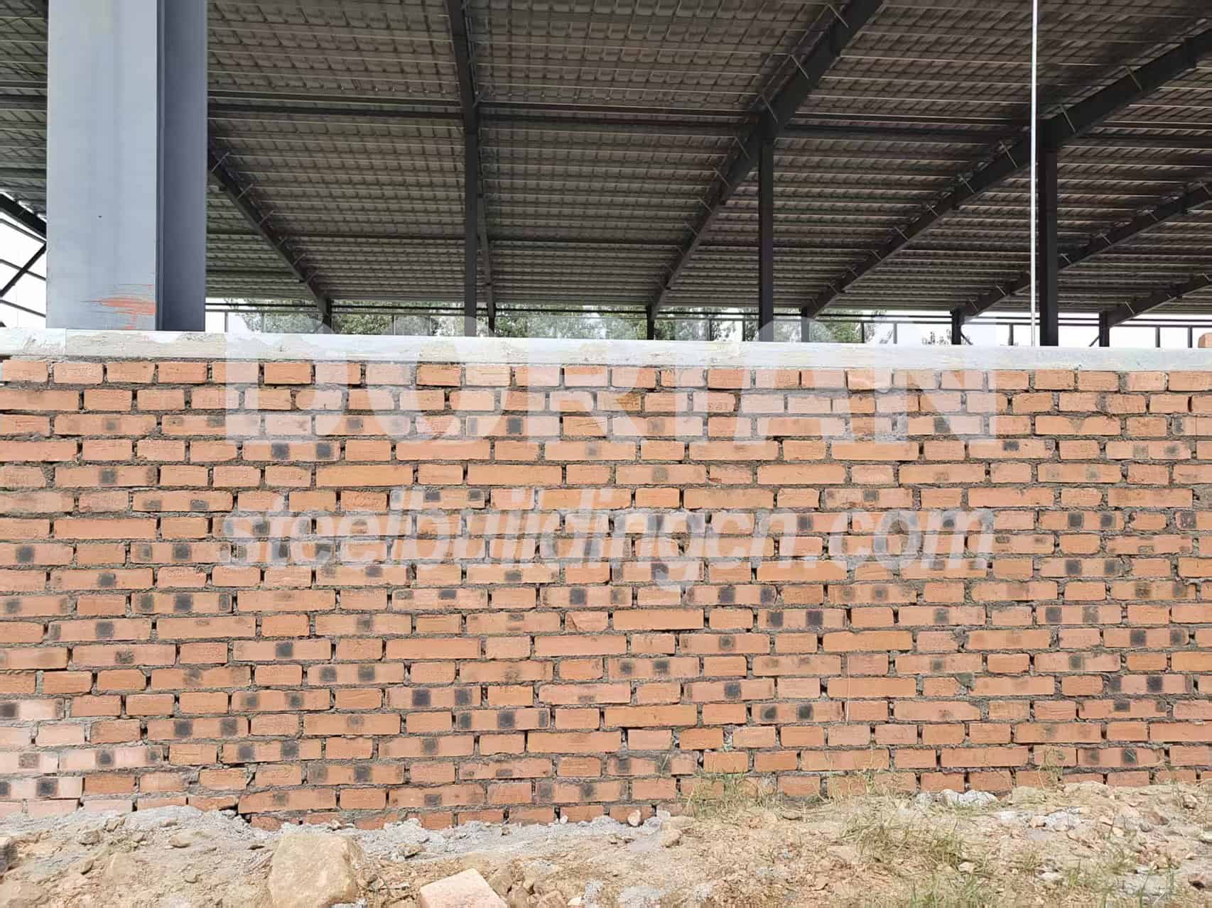 Steel Structure Chicken House Construction