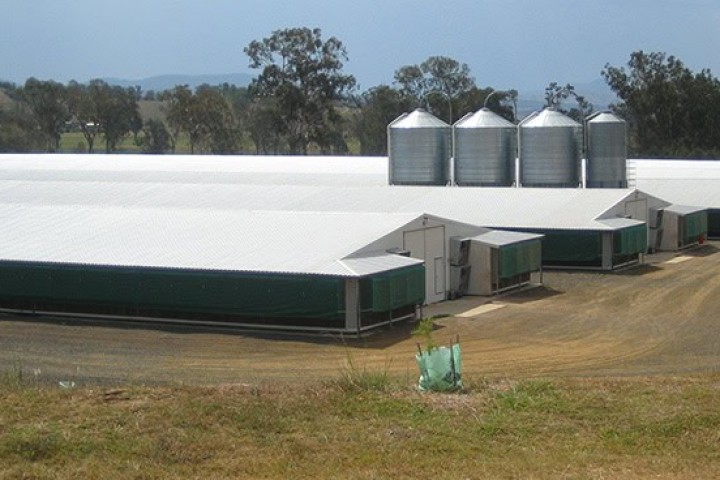 Steel Building for Agriculture and Storage