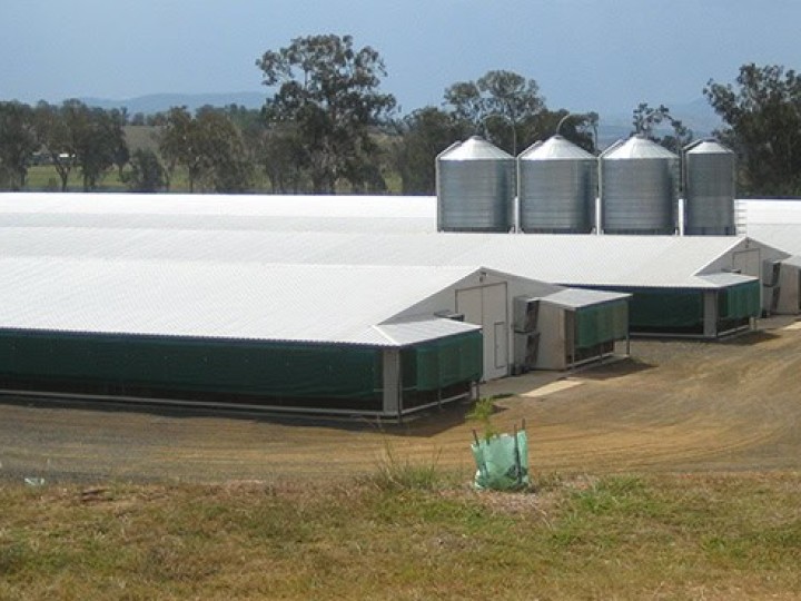 Steel Building for Agriculture and Storage