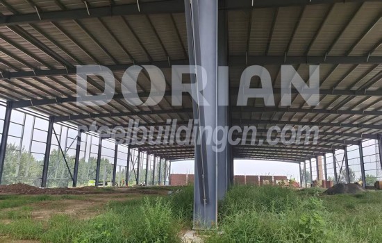Steel Structure Chicken House in Cameroon
