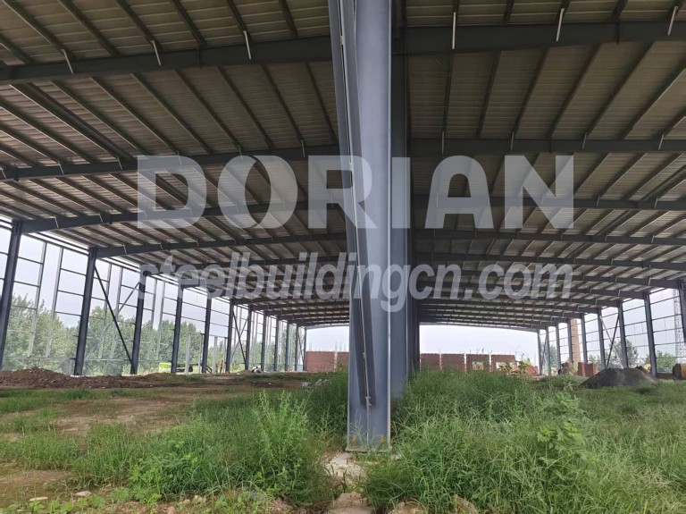 Steel Structure Chicken House in Cameroon
